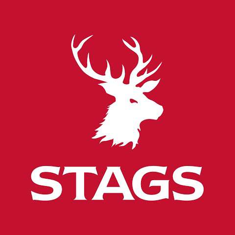 Stags photo